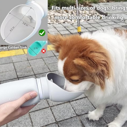 Portable Dog Water Bottle